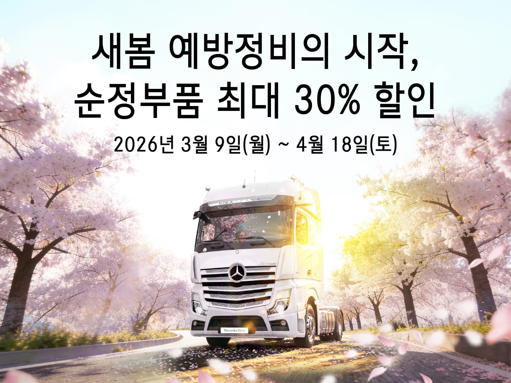 새봄맞이 캠페인